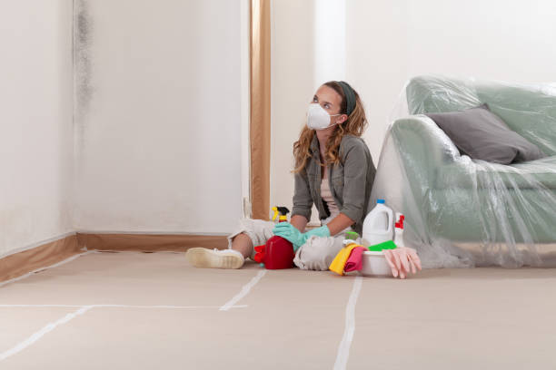 Reliable Black Mold Remediation contractor in Hertford, NC by 24 Hour Mold Removal